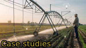 Case Studies